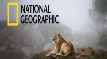 نزل التردد الجديد.. قناة ناشيونال جيوغرافيك على نايل سات بجودة HD